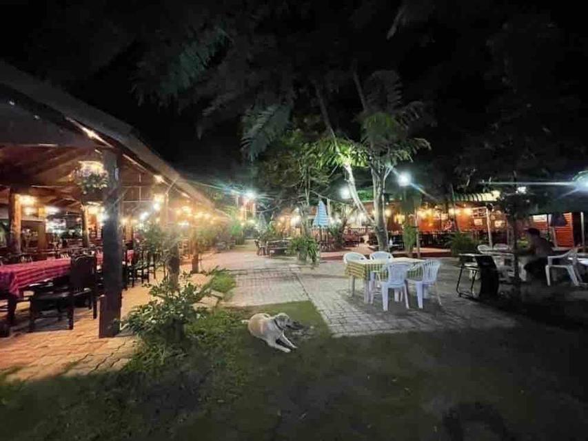 ขายบ้านเดี่ยว 2 ชั้น 100 ตร.ว. ติดถนนริมโขงเวียงคุก เมืองหนองคาย 11