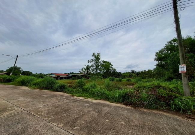 ขายที่ดิน คลอง 13 หมู่บ้านสมหวังการ์เด้น เนื้อที่ 75.70 ตร.ว. ถนนคอนกรีต น้ำไฟเข้าถึง 6