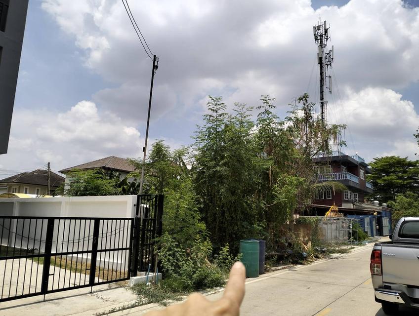 ที่ดินเปล่า 46 ตารางวา รังสิตคลอง 1-2 ใกล้ตลาด 4