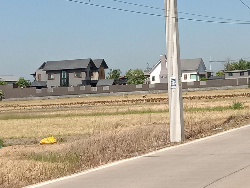 ที่ดิน 100 ตรว. บ่อเงินซอย 8 ต.บ่อเงิน อ.ลาดหลุมแก้ว จ.ปทุมธานี 18