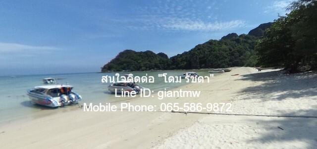 พื้นที่ดิน ที่ดินเกาะพีพี จ.กระบี่ ขนาด 68 ตร.วา 1 งาน 0 Rai ใกล้กับ Loh Lana Bay (500 ม.) HOT DEAL!! กระบี่ 3