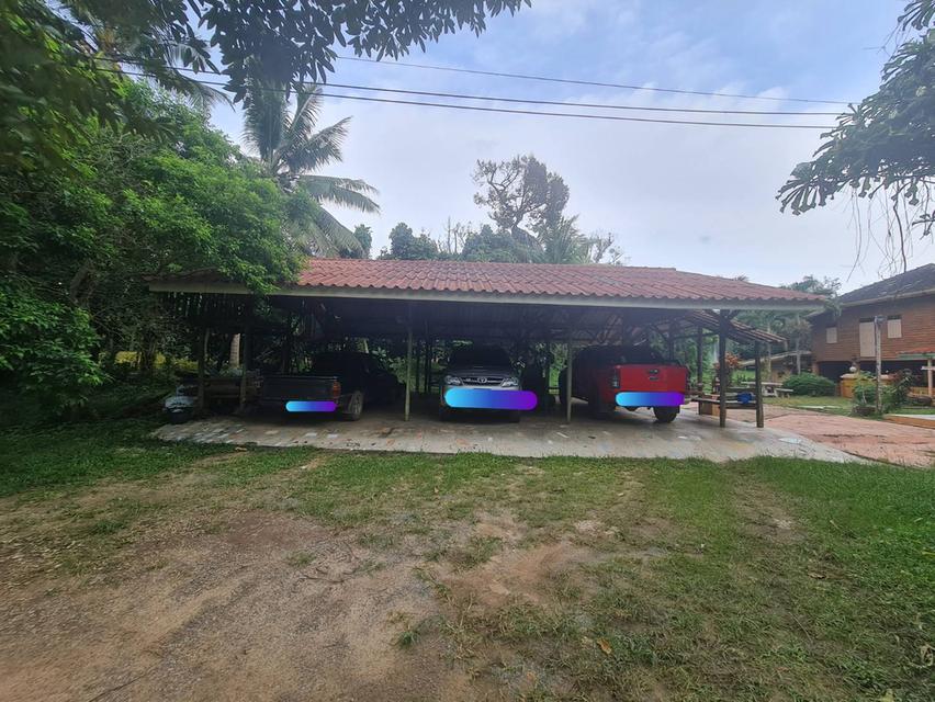 ขายบ้านพร้อมที่ดินสวนทุเรียน+มังคุด เนื้อที่ 22 ไร่ 1 งาน 51 ตร.วา ต.เขาวัว อ. ท่าใหม่ จ.จันทบุรี 3