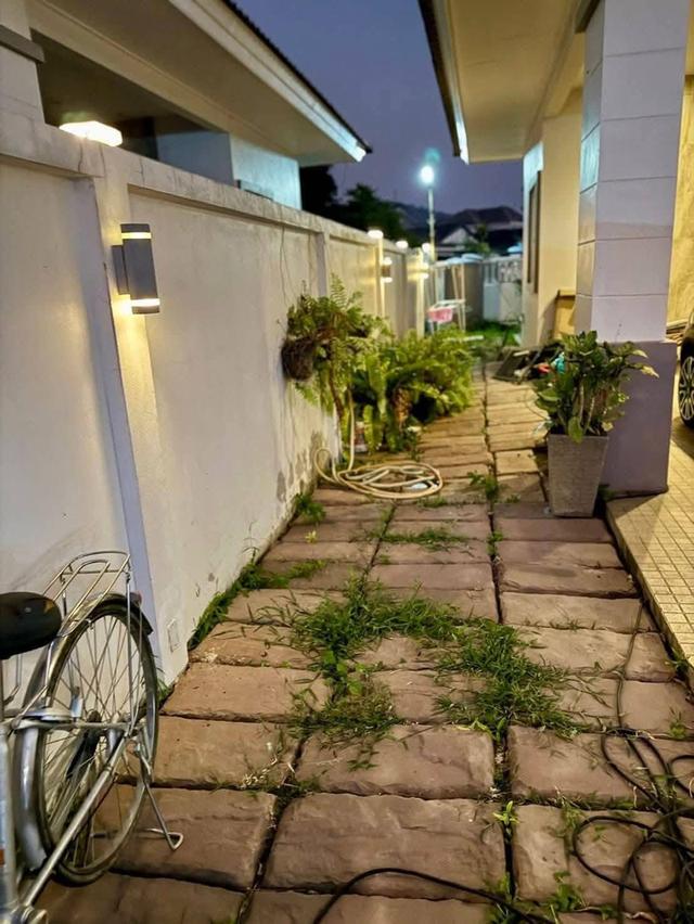 ให้เช่า บ้านเดี่ยว ชั้นเดียว ขั้นเดียว 70 ตร.วา ซอยสุขุมวิท 107 สัตหีบ 3