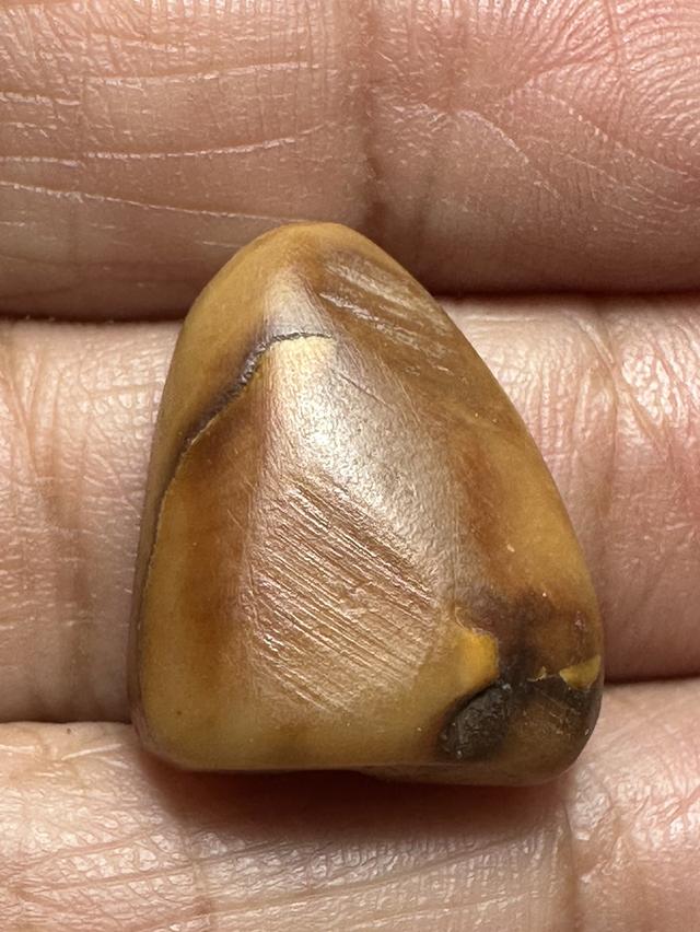 เขาควายเผือกหลวงพ่ออำ่วัดหนองกระบอก พิมพ์พระพุทธ 2