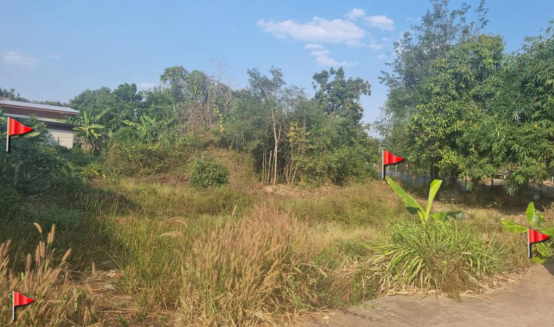 ที่ดินในชุมชนเหมาะสร้างบ้าน สาธารณูปโภคพร้อม 2