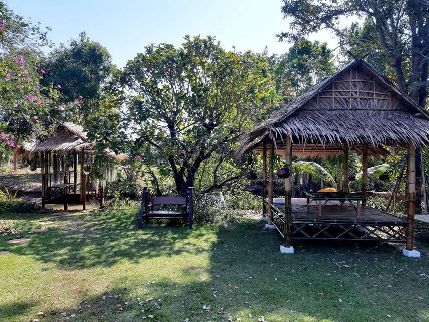 ที่ดินบ้านโป่ง จ.ราชบุรี ใกล้ทางด่วนสาย 81 บางใหญ่-กาญจนบุรี ที่ดินติดน้ำ โฉนดครุฑแดง พร้อมโอนกรรมสิทธิ์ 13