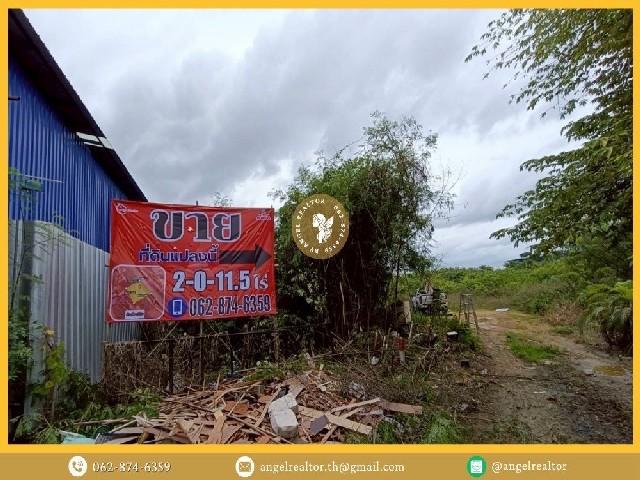 ขายที่ดิน พระราม2-สะแกงาม 2-0-11.5 ไร่ 150 ม.จากวงแหวน แปลงสวย ถมแล้ว อยู่ใกล้ซอยสะแกงาม 30 6