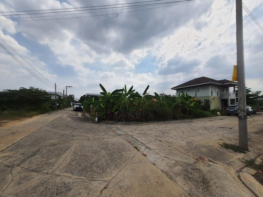 ที่ดิน 10