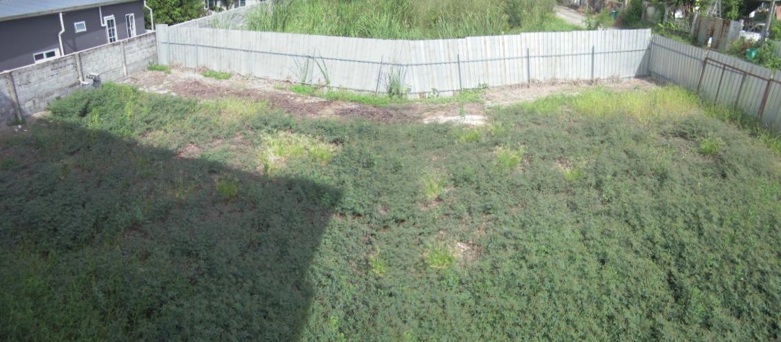 ขายอาคารใหม่ 2 ชั้นครึ่ง คลองหลวง ปทุมธานี 9