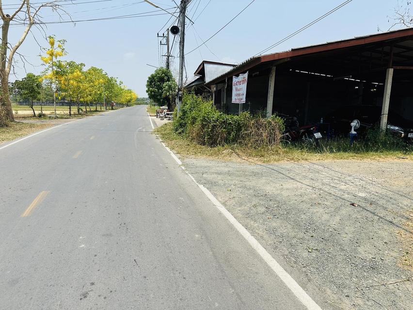 ขายที่ดินแปลงใหญ่สุดพรีเมียม! ทำเลทอง ดอยสะเก็ด เชียงใหม่ 4