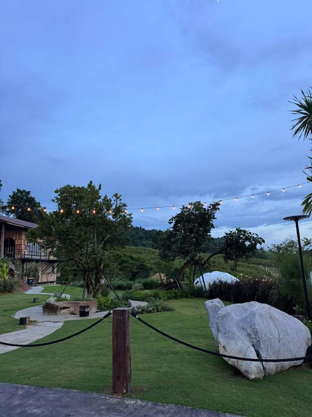 D Kanda Glamping วังน้ำเขียว  5 ไร่ 14 ล้าน 3
