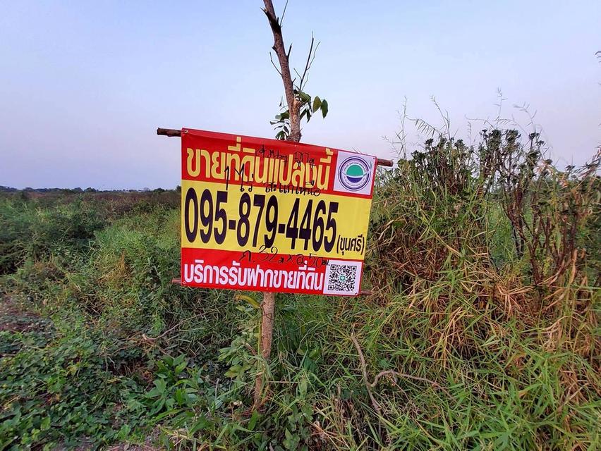 ขายด่วนที่ดิน 400 ตรว ติดถนนสาธารณะ ลาดหลุมแก้ว ปทุมธานี 9