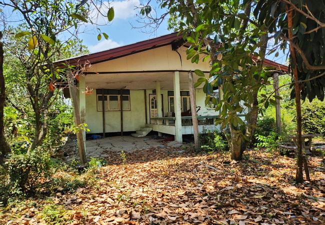 ขายที่ดิน ตำบลสิงหนาท อำเภอลาดบัวหลวง พระนครศรีอยุธยา เนื้อที่ 4-3-82 ไร่ 2