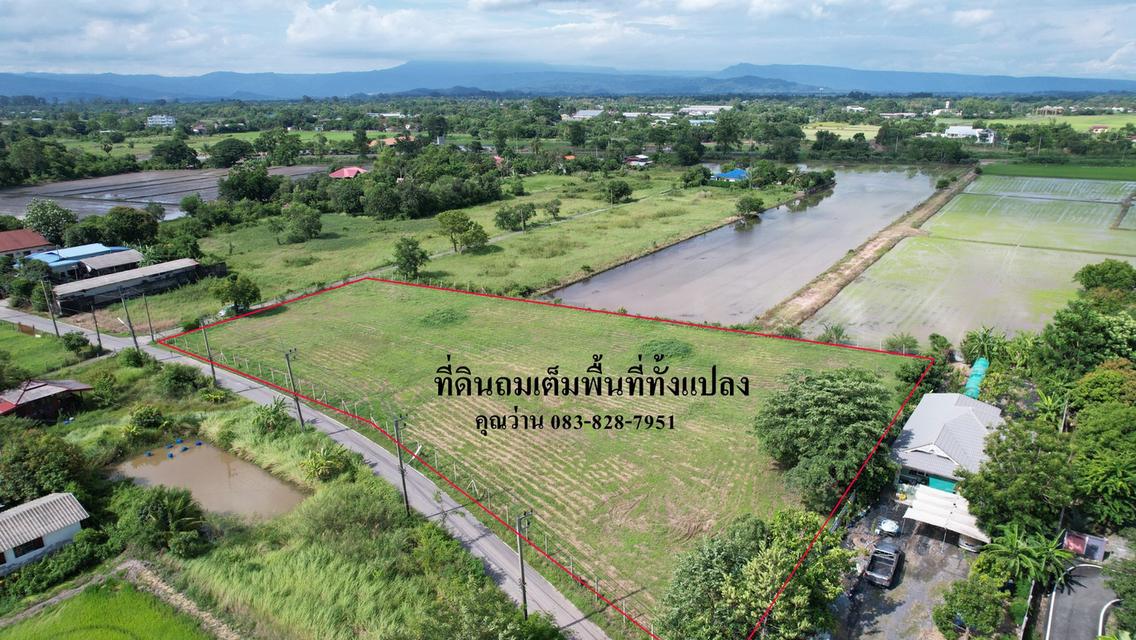 ขายที่ดิน 3 ไร่ 1 งาน มีโฉนด ถมแล้วเต็มพื้นที่หน้ากว้าง 100 เมตร อ.เมืองนครนายก 11
