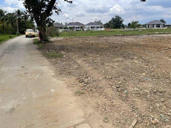 ด่วนที่สุด ที่ดินแปลงสวยถมแล้ว 244 ตร.ว. วิวทุ่งนา ดอยสุเทพ เพียง 15 นาทีจากเซ็นทรัลเฟส 2