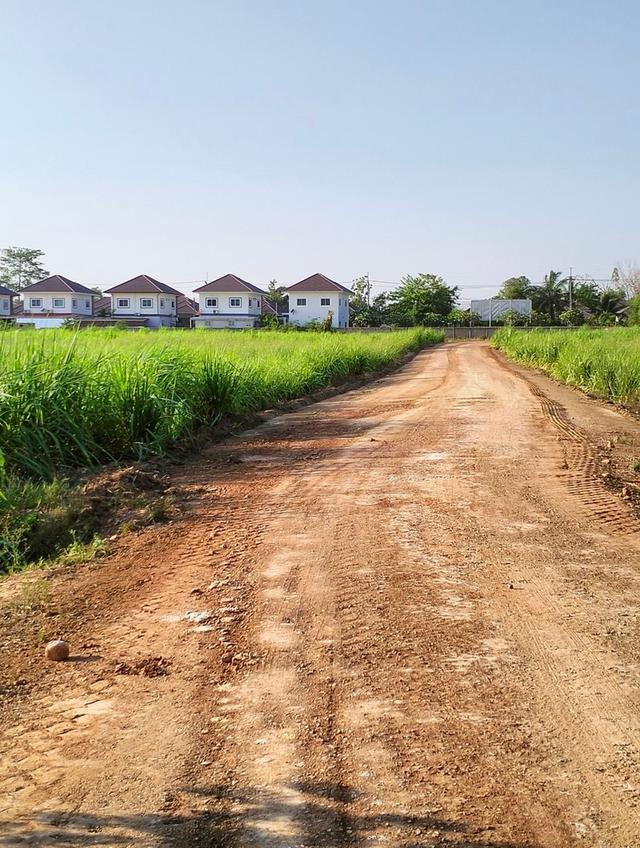 ขายที่ดิน 5 ไร่ ราคาดี ทำเลดี  4