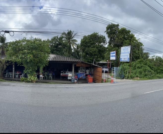 ที่ดินติดถนนบรมราชชนนี(พุทธมณฑล สาย8) 3