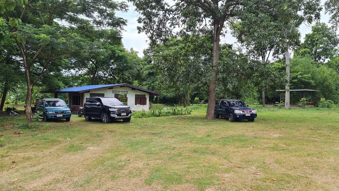 ต้องการขายที่ดิน จำนวน 15.1.58 จังหวัดราชบุรี อำเภอปากท่อ บรรยากาศดีใกล้แหล่งความเจริญ น้ำไฟพร้อม 1