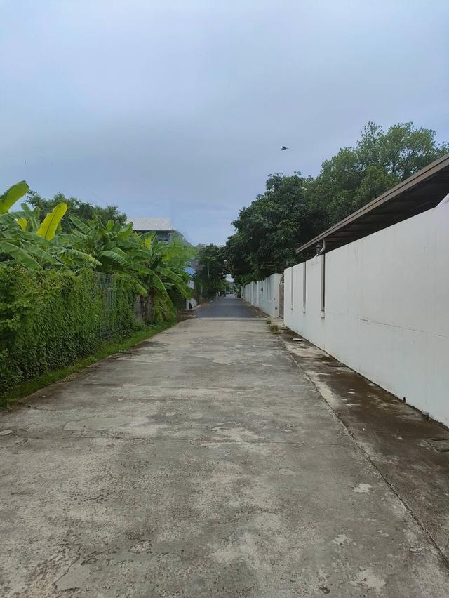 ขายที่ดินเปล่าถมแล้วในถนนลาดพร้าวซอย 48 กรุงเทพมหานคร 3