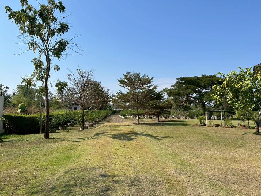 ขายบ้านและพร้อมที่ดิน 14