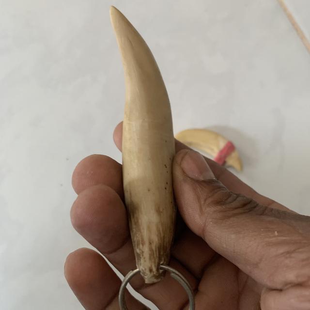 ของสะสม ไม่ทราบที่มา 5