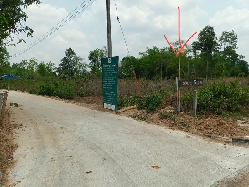 ที่ดินเปล่า ติดถนน 8