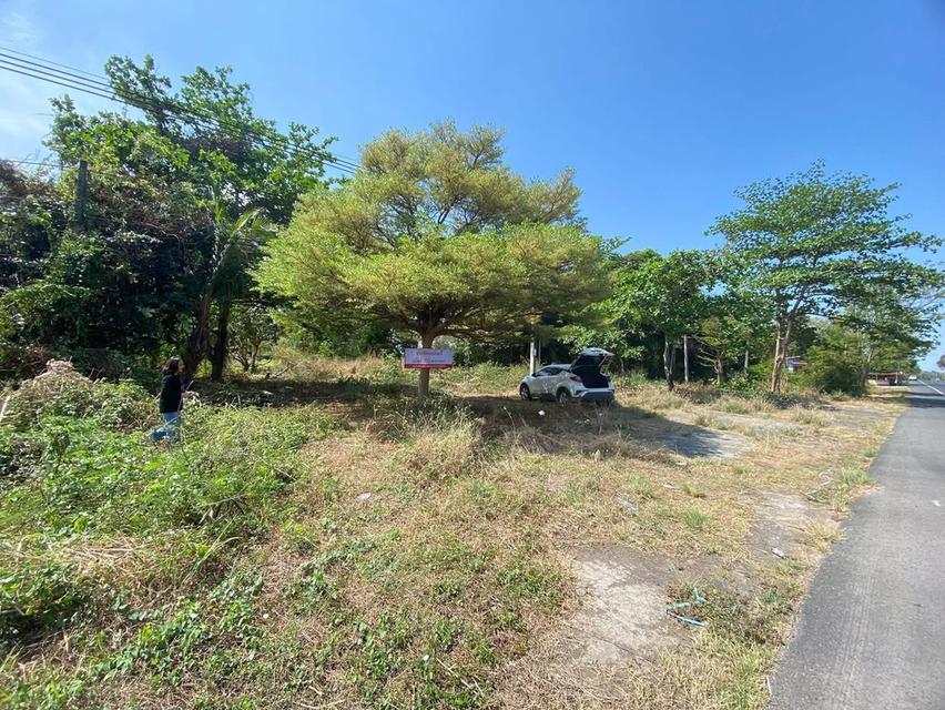 ที่ดิน อำเภอเมืองอุบล 2