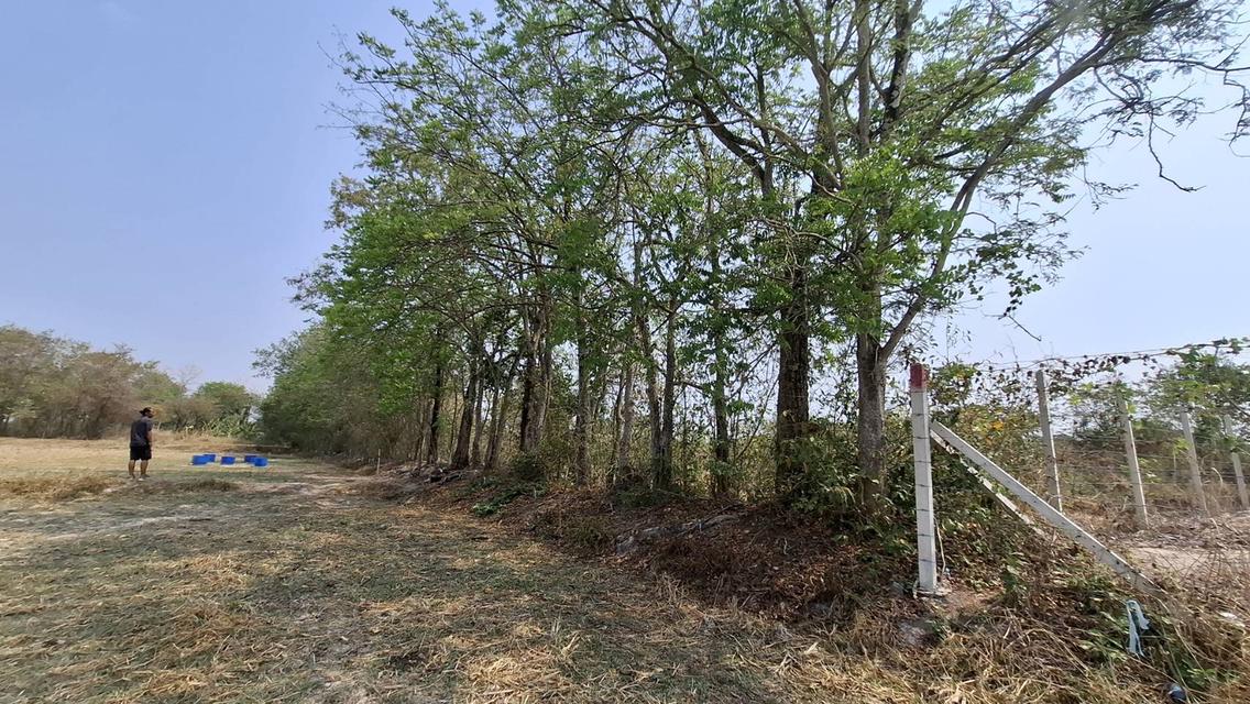 📍ที่ดินถมแล้ว 4 ไร่ 2 งาน  บ้านพริก อ.บ้านนา  นครนายก ติดถนนสาธารณะ พร้อมปลูกบ้านได้ทันที! 5