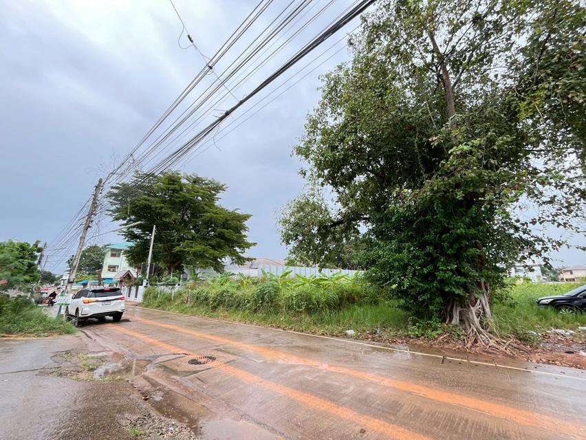 ขายที่ดินกังสดาล ใกล้มหาวิทยาลัยขอนแก่น 5