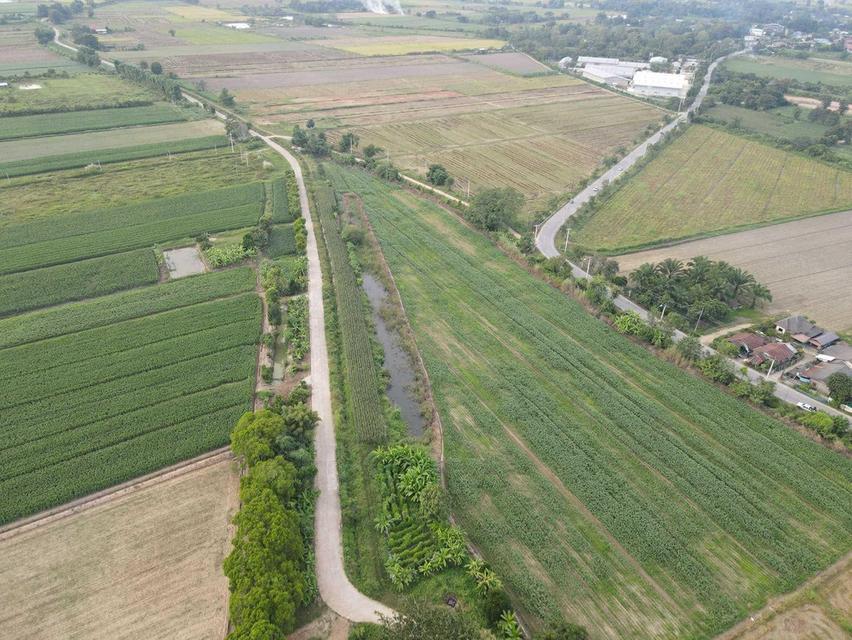 ที่ดินราคาสวย บ้านสันนาตำบลเกาะช้างอำเภอแม่สายจังหวัดเชียงราย  1