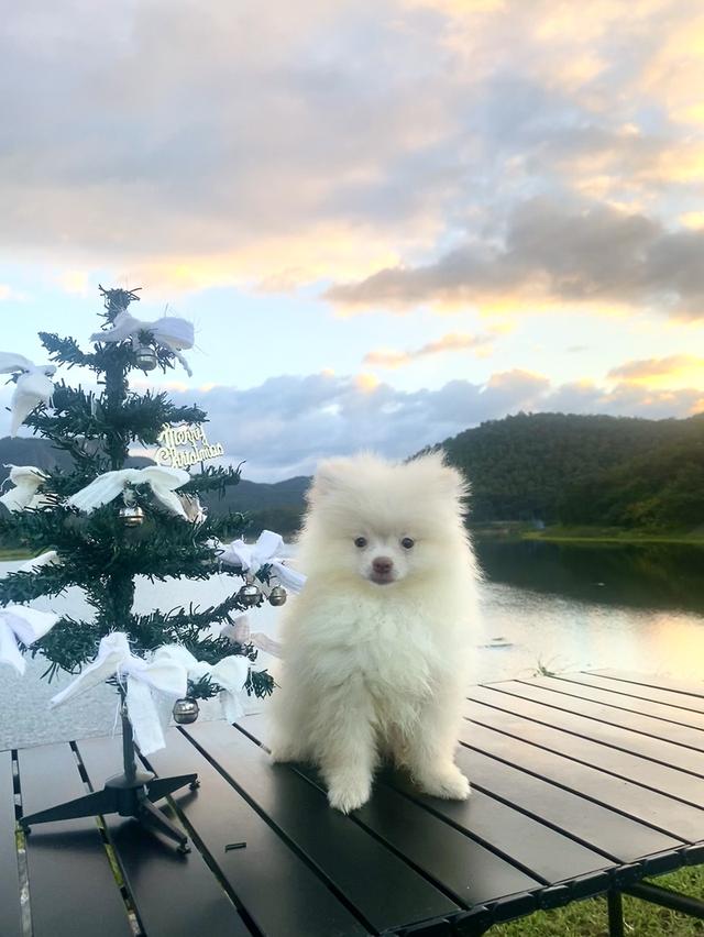 ปอม ชายจริงหญิงแท้ น่ารักๆ 8