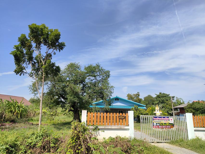 บ้านพร้อมที่ดิน รวม 1ไร่3งาน81ตรว. 5