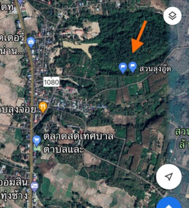 ขายสวนเงาะอยู่หลังเซเว่นตลาดสดทุ่งช้าง 11