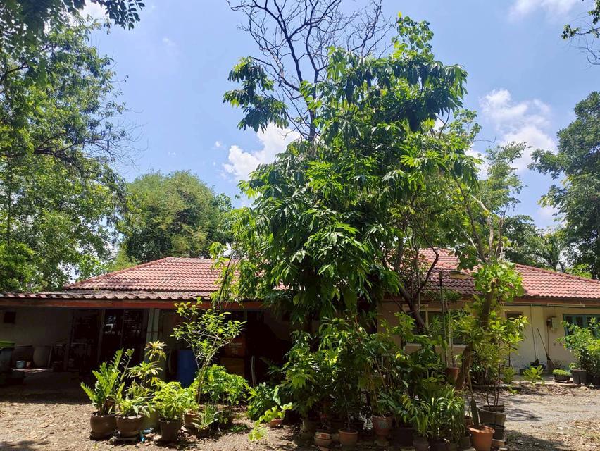 ขายบ้านพร้อมที่ดิน 5-2-69 ไร่ ริมถนนอดิเรกสาร 3 ใกล้โรงพยาบาลสระบุรีแห่งใหม่ (อนาคต) เพียง 4 กิโลเมตร 3