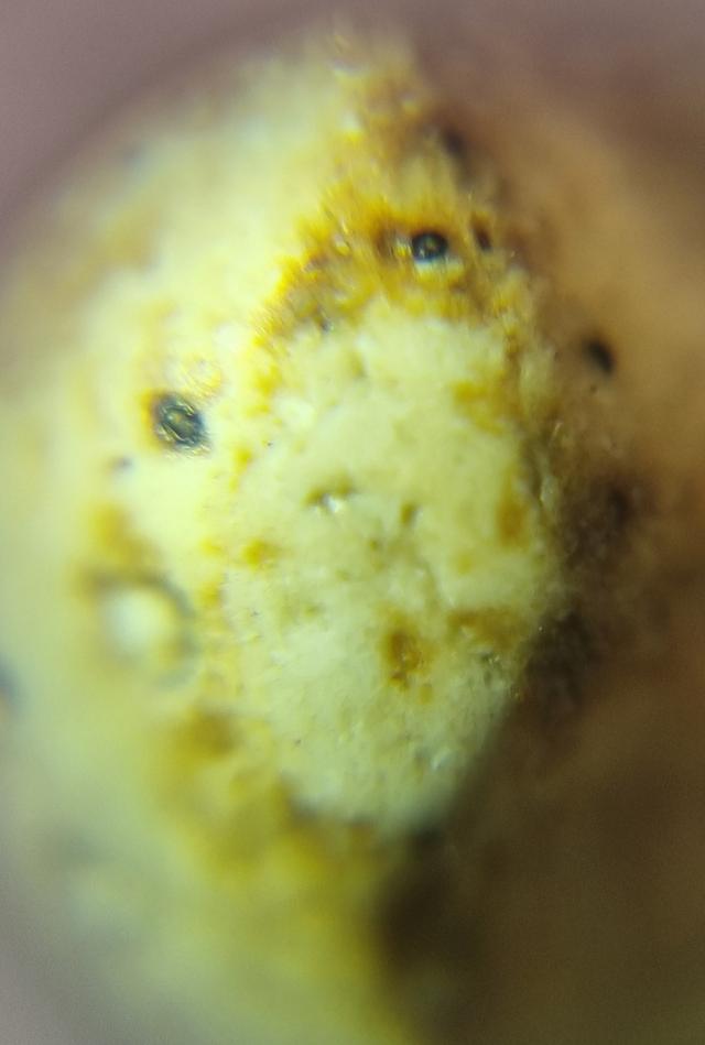 พระสมเด็จ 9