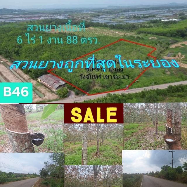 ที่ดินวิวเขายายดา ระยอง 1