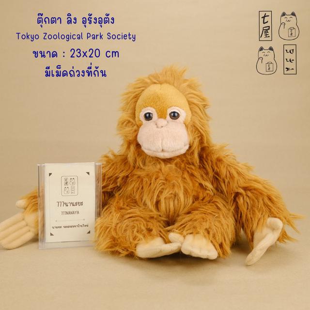 ตุ๊กตา ต้าวฟู。ลิง・อุรังอุตัง・สวนสัตว์โตเกียว =͟͟͞🦧🇯🇵 Orangutan・Ape・Standard 23 cm ✅ Tokyo Zoological Park Society・Official Souvenir・Plush ❄️✨