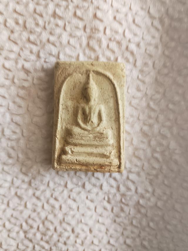 ขายคับ 5