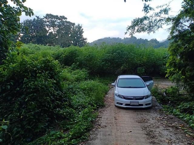 ชุ่มฉ่ำตลอดปีสวยวิวล้านที่ดินติดลำธาร เช่าขายที่ติดลำน้ำมวบ จ.น่าน เมืองเหนือ ต.พงษ์ อ.สันติสุข จ.น่าน 7