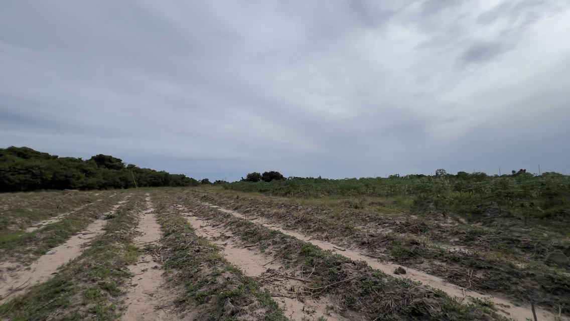 ที่ดินเขตอุตสาหกรรมระยอง 4