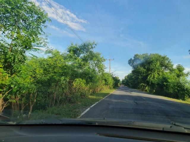 แค่วางดาวน์ก็มีโอกาสเป็นเจ้าของ ขายที่ดิน 4ไร่เศษ ติดถนนคอนกรีต ต.มหาราช อ.มหาราช จ.อยุธยา 5