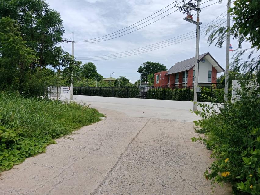 ขายที่ดินจัดสรรม.ลานทองแปลงสวยสุด 103.9 ตรวา มุม ลานทอง 35/1 หายาก (ไม่มีแล้ว)สร้างบ้าน ม.ลานทอง ติวานนท์-ปากเกร็ด25 หมู่บ้านดี โซนบ้านเดี่ยว หาออกยาก 14