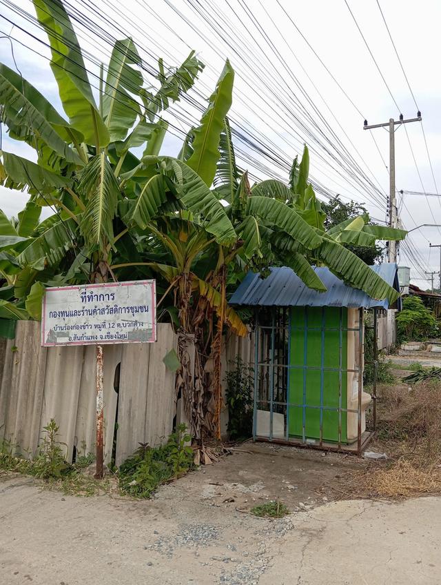 ขายที่ดิน 100 ตรว. เชียงใหม่ 1