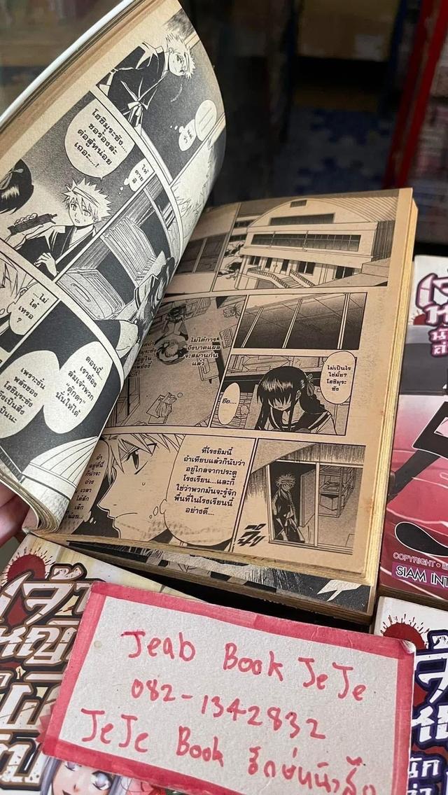 หนังสือการ์ตูน เจ้าหญิงนักล่าผีดิบ 1-23 จบ