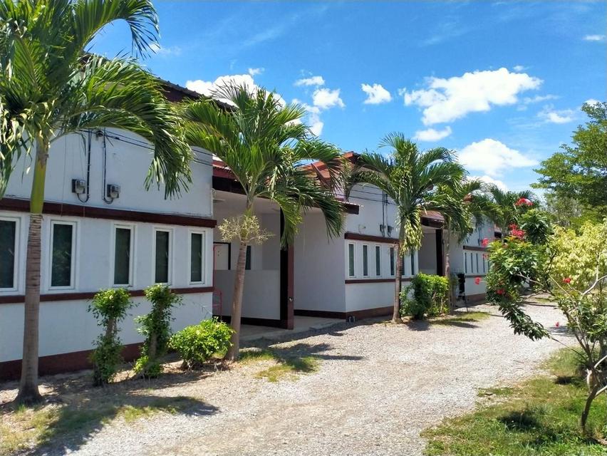 โครงการคนละครึ่ง ท่านครึ่ง เราครึ่ง พื้นที่แบ่งขายห้องพักนักศึกษา พื้นที่ประมาณ 2 งาน พร้อมห้องพัก จำนวน 5 ห้อง และเฟอร์นิเจอร์ ขนาด 5x10 เมตร 3