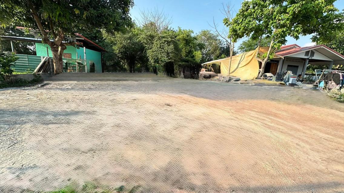ขายที่ดินหนองปลาไหล 100 ตรว. ราคาถูก เหมาะสร้างบ้าน 4