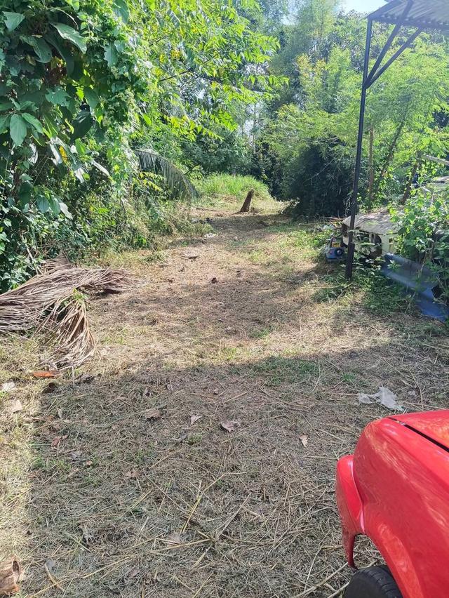 ขายที่ดินเปล่า ห้วยยายจีน  ห้วยใหญ่ ชลบุรี (เจ้าของขายเอง) 4