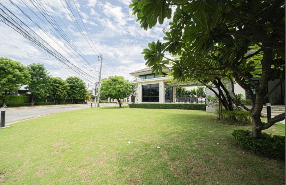 บ้านเดี่ยว โครงการเดอะแพลนท์  บางนา 8