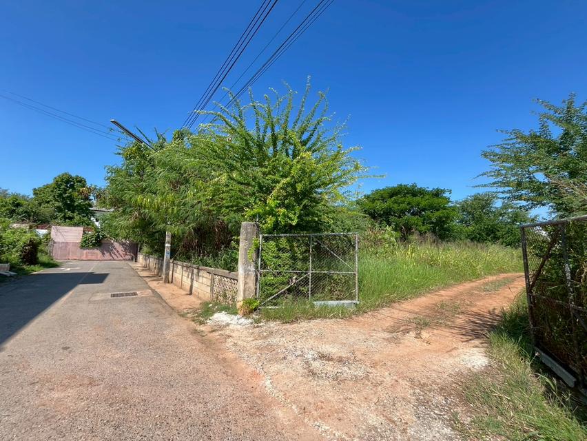 ที่ดินขอนแก่น ใกล้มหาวิทยาลัยขอนแก่น ใกล้เซ็นทรัลใหม่ ทำเลดี 7