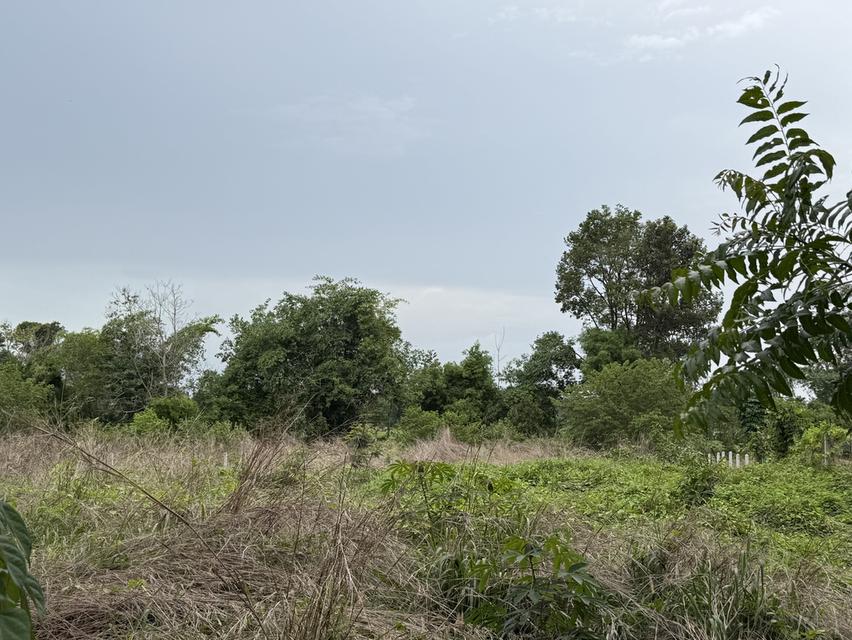 ขายที่ดิน โฉนด พร้อมโอนทำเลดี 4